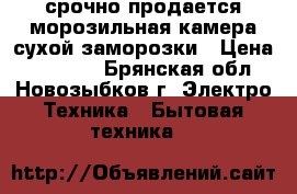 срочно продается морозильная камера сухой заморозки › Цена ­ 10 000 - Брянская обл., Новозыбков г. Электро-Техника » Бытовая техника   